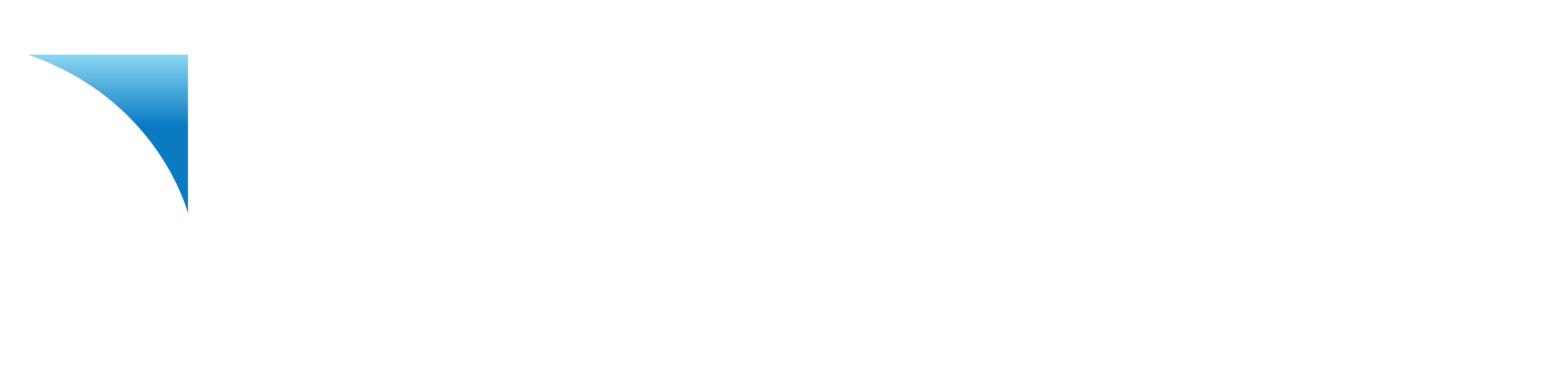 BI starter Logo website